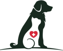 Dr Olga Lynn logo
