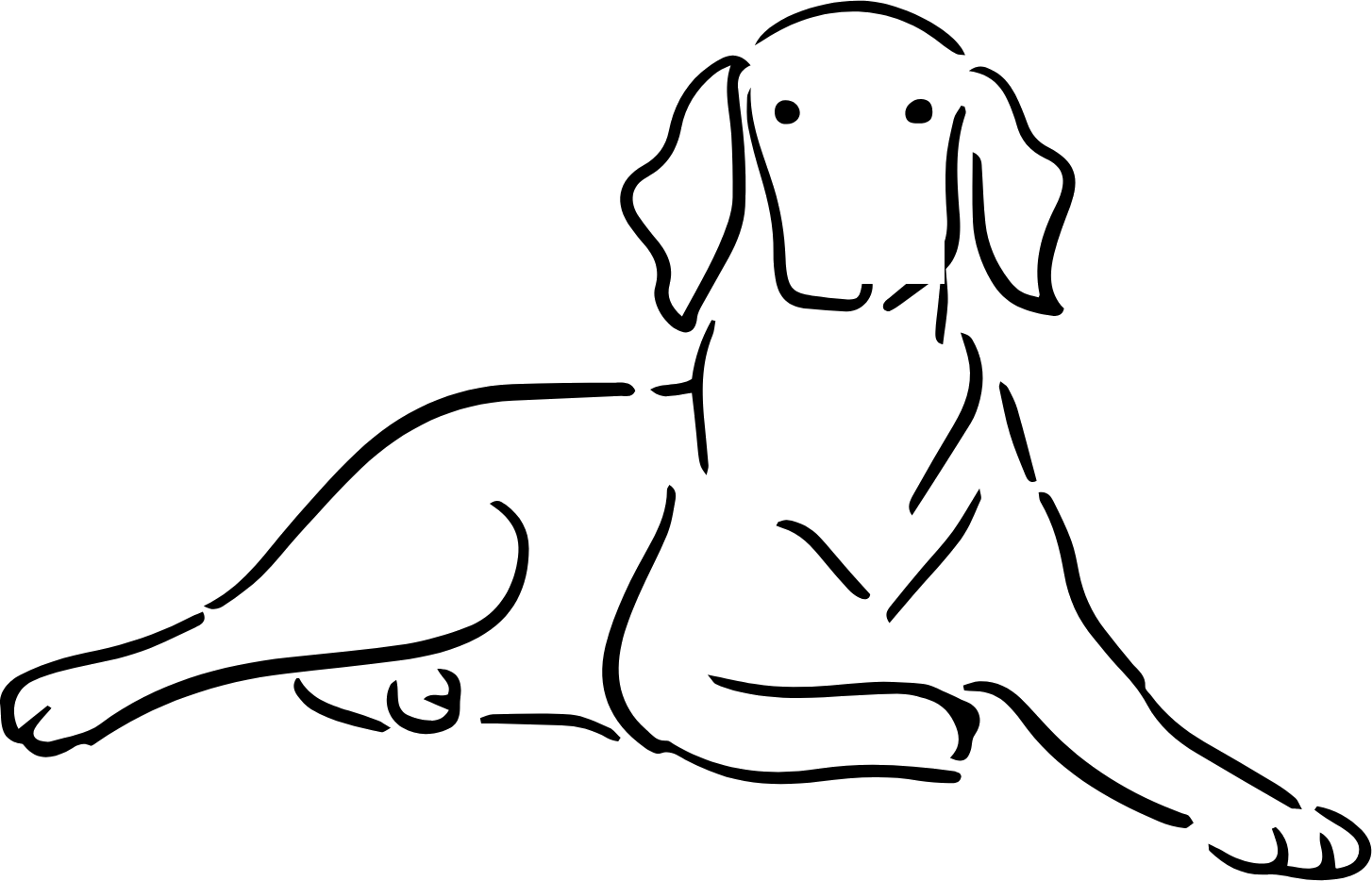 An attentive dog, waiting for your message