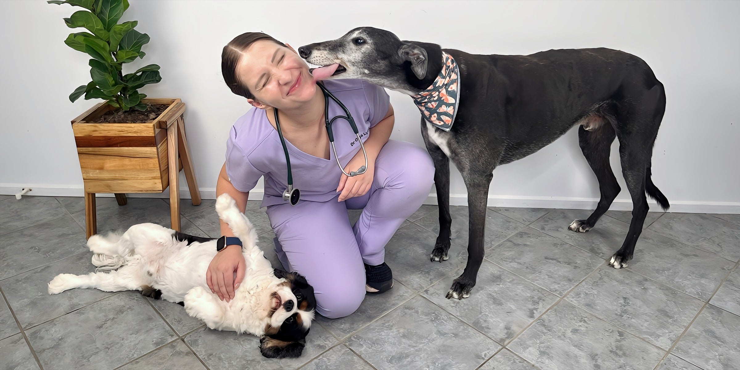 Dr Olga Lynn with pets in her clinic