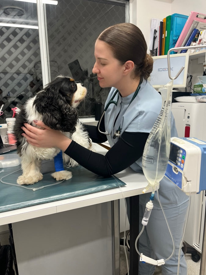 Dr Olga Lynn with patients in the clinic