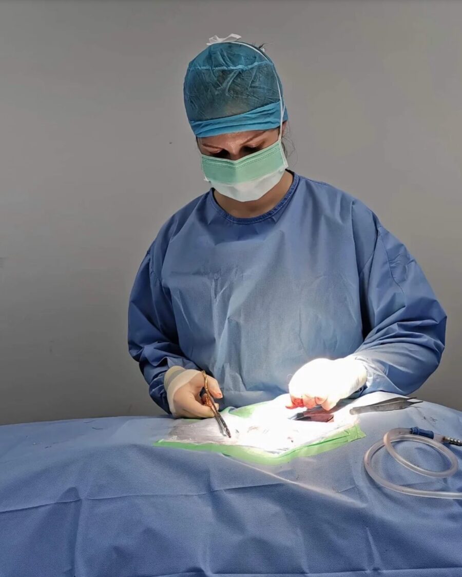 Dr Olga Lynn performing surgery
