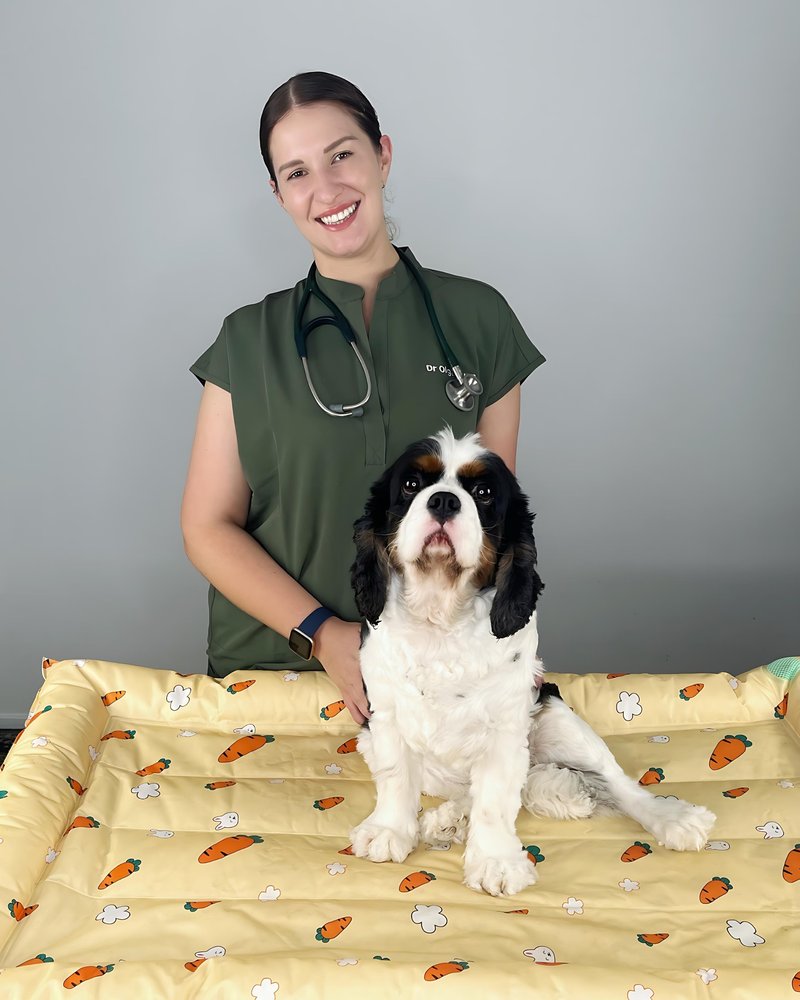 Dr. Olga Lynn, emergency and critical care veterinarian