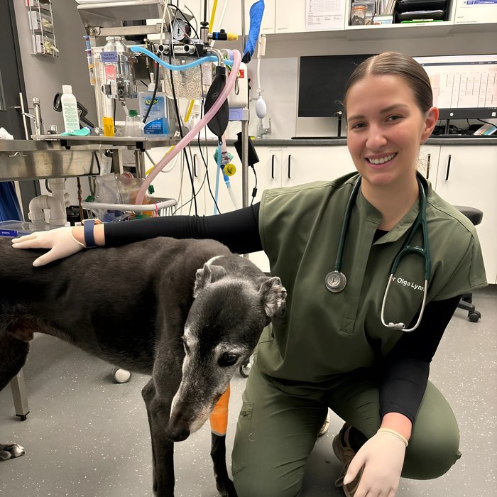 Dr. Olga Lynn with a patient in the ICU